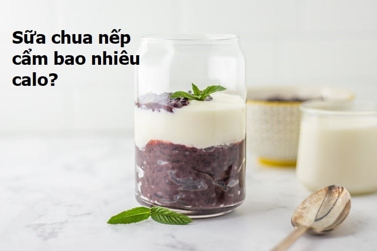 Sữa Chua Nếp Cẩm Bao Nhiêu Calo? Ăn Nhiều Có Béo Không?