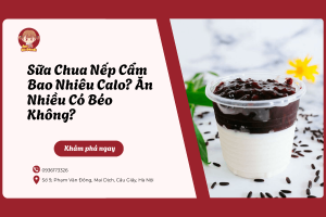 Sữa Chua Nếp Cẩm Bao Nhiêu Calo? Ăn Nhiều Có Béo Không?