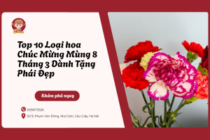 hoa chúc mừng mùng 8 tháng 3