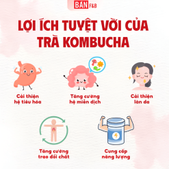 Trà Kombucha Mix Vị Dạng Gói