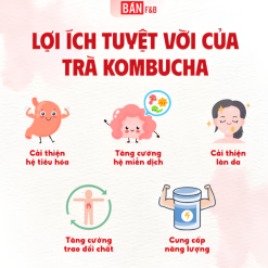 Trà Kombucha vị Ổi hồng Giàu Lợi Khuẩn Không Calo Hộp 8 gói