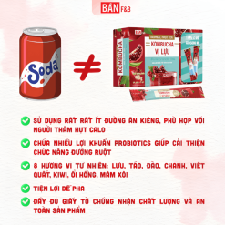 Trà Kombucha Mix Vị Dạng Gói