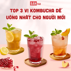 Trà Kombucha Mix Vị Dạng Gói