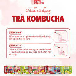 Trà Kombucha vị Ổi hồng Giàu Lợi Khuẩn Không Calo Hộp 8 gói