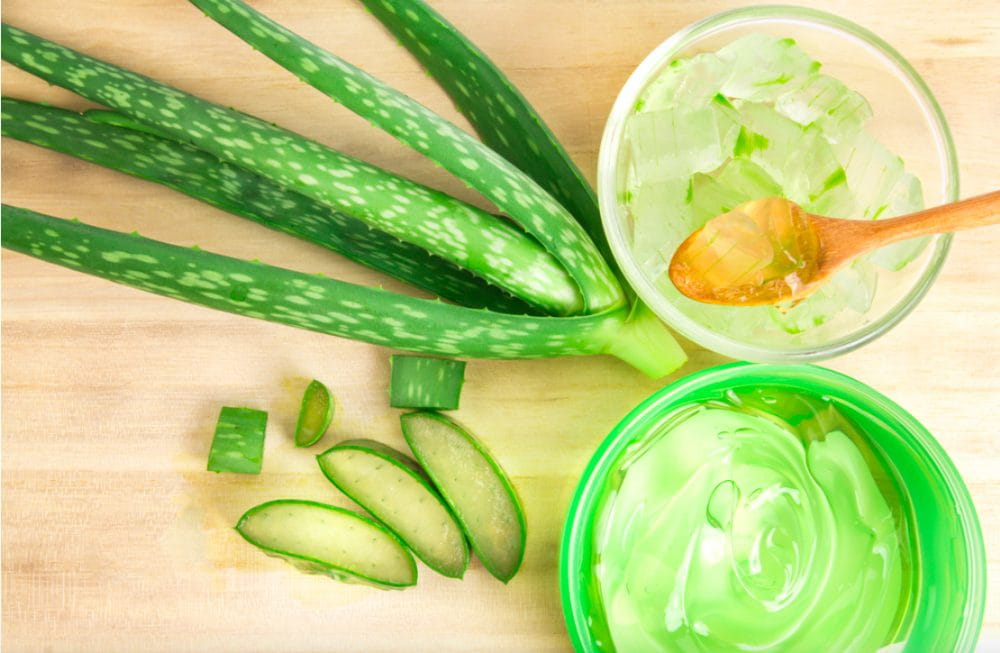 Top 10 công dụng của nha đam và lưu ý khi sử dụng