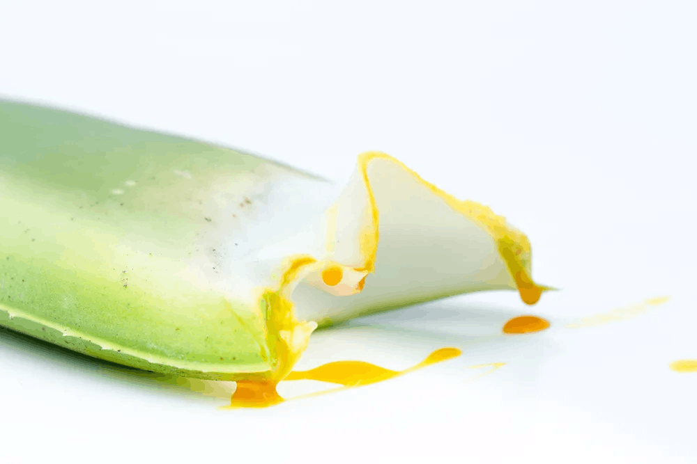 Top 10 công dụng của nha đam và lưu ý khi sử dụng