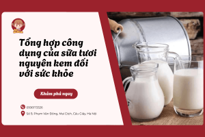 Tổng hợp công dụng của sữa tươi nguyên kem đối với sức khỏe