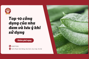 Top 10 công dụng của nha đam và lưu ý khi sử dụng