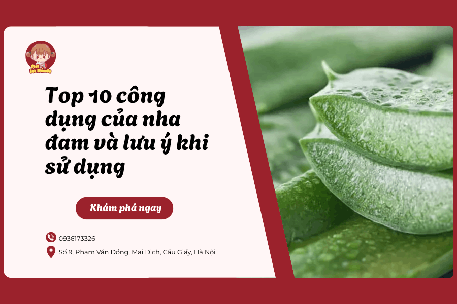 Top 10 công dụng của nha đam và lưu ý khi sử dụng